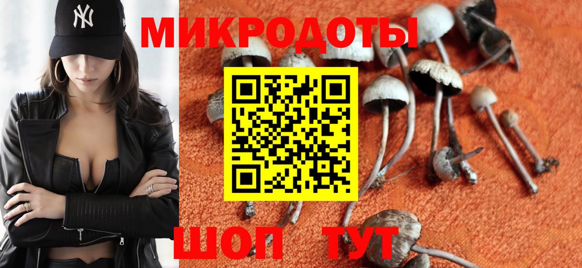 Донецк  Галлюциногенные грибы Cubensis  Псилоцибиновые грибы Cubensis  купить   Вход с VPN 
