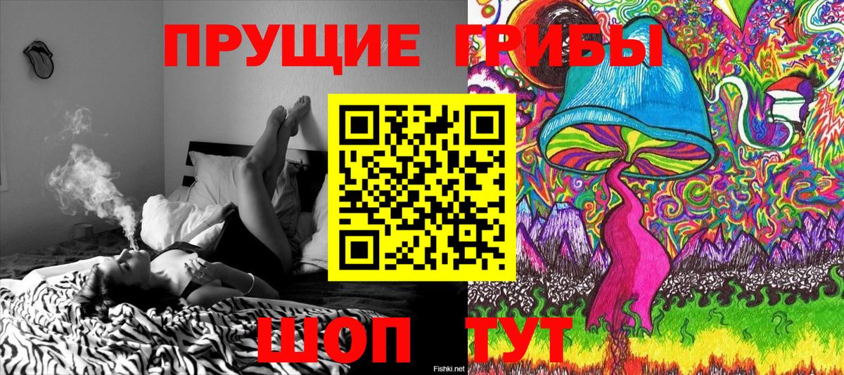 Галлюциногенные грибы GOLDEN TEACHER Донецк